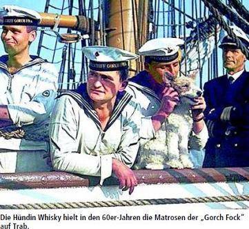 Hündin Whisky auf der „Gorch Fock“